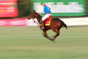 Horse Polo, Horse Polo in Rajasthan