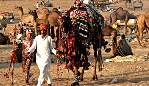 Pushkar Fair, Pushkar Festival