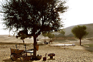 Rural Rajasthan, Villages to Visit in Rural Rajasthan