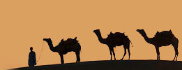 Rajasthan Travel, Rajasthan Travel Tour