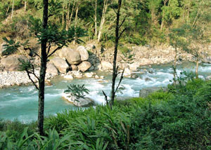 Teesta River Sikkim